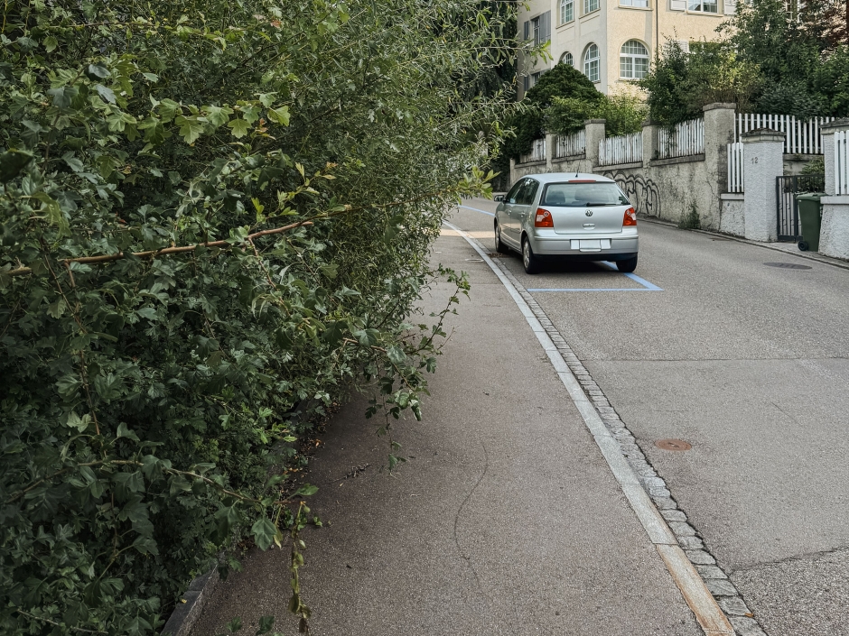 Strauch ragt in den Gehweg